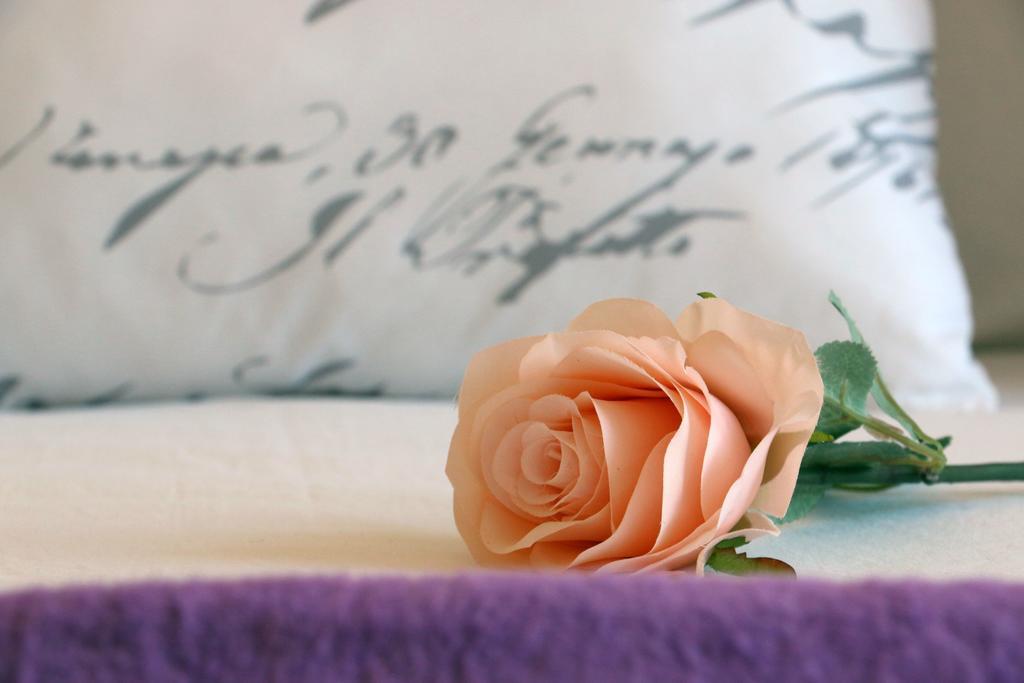 Blue Rose Daire Trogir Dış mekan fotoğraf